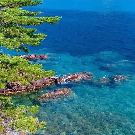 Soleil&sable-fréjus Appt 4 Pers-classé 3-clim *